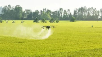 تكنولوجيا حديثة تقود تسارعاً ملحوظاً في معدلات نمو القطاع الزراعي بشكل مستمر